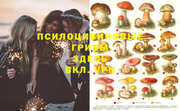 spice Алзамай